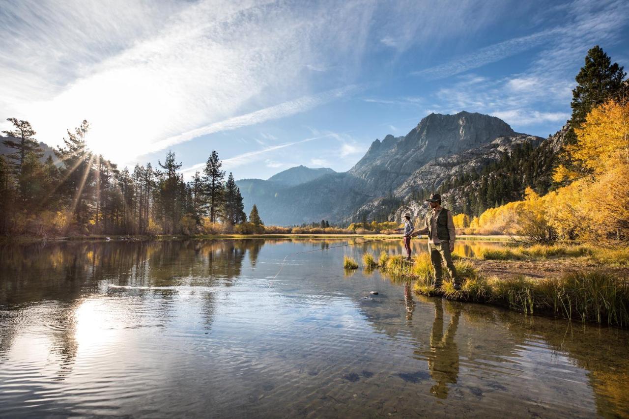 Mammoth Estates - Free Parking & Pet Friendly Apartment